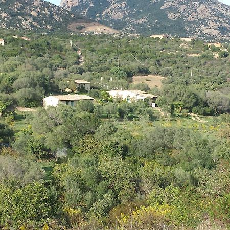 Agriturismo Agrisole Olbia Exteriör bild