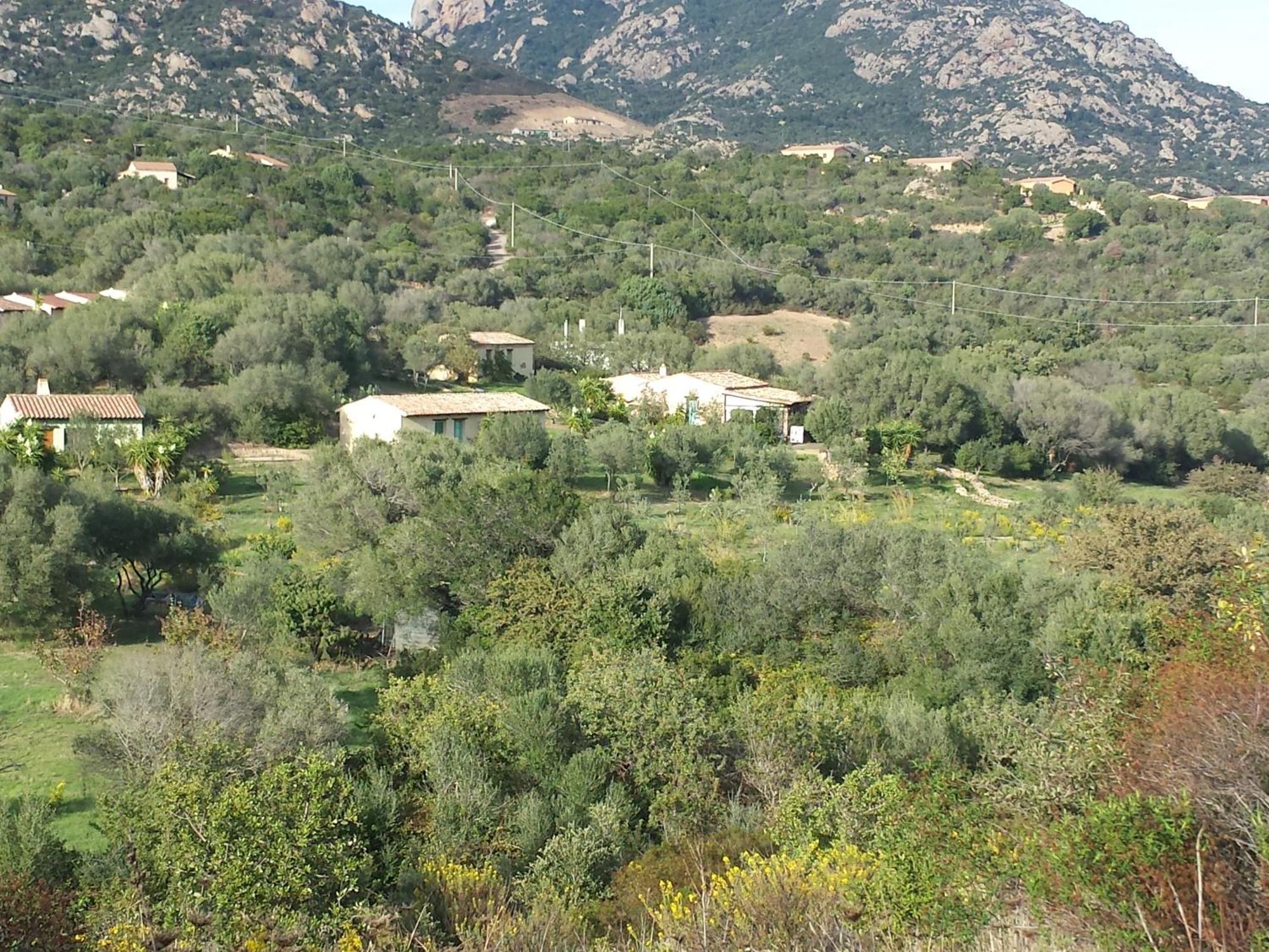Agriturismo Agrisole Olbia Exteriör bild
