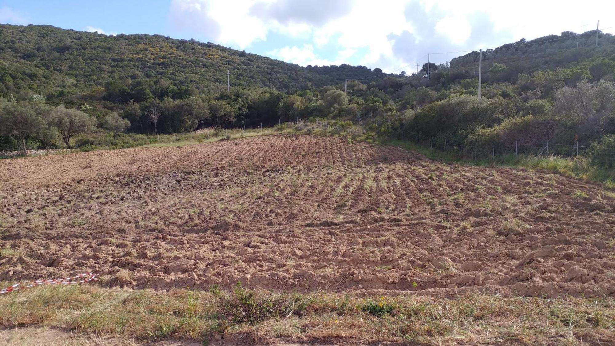 Agriturismo Agrisole Olbia Exteriör bild