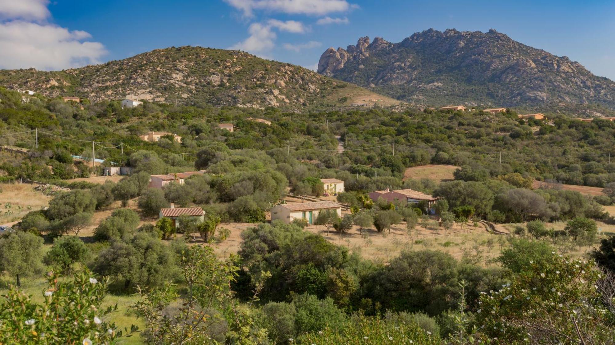 Agriturismo Agrisole Olbia Exteriör bild