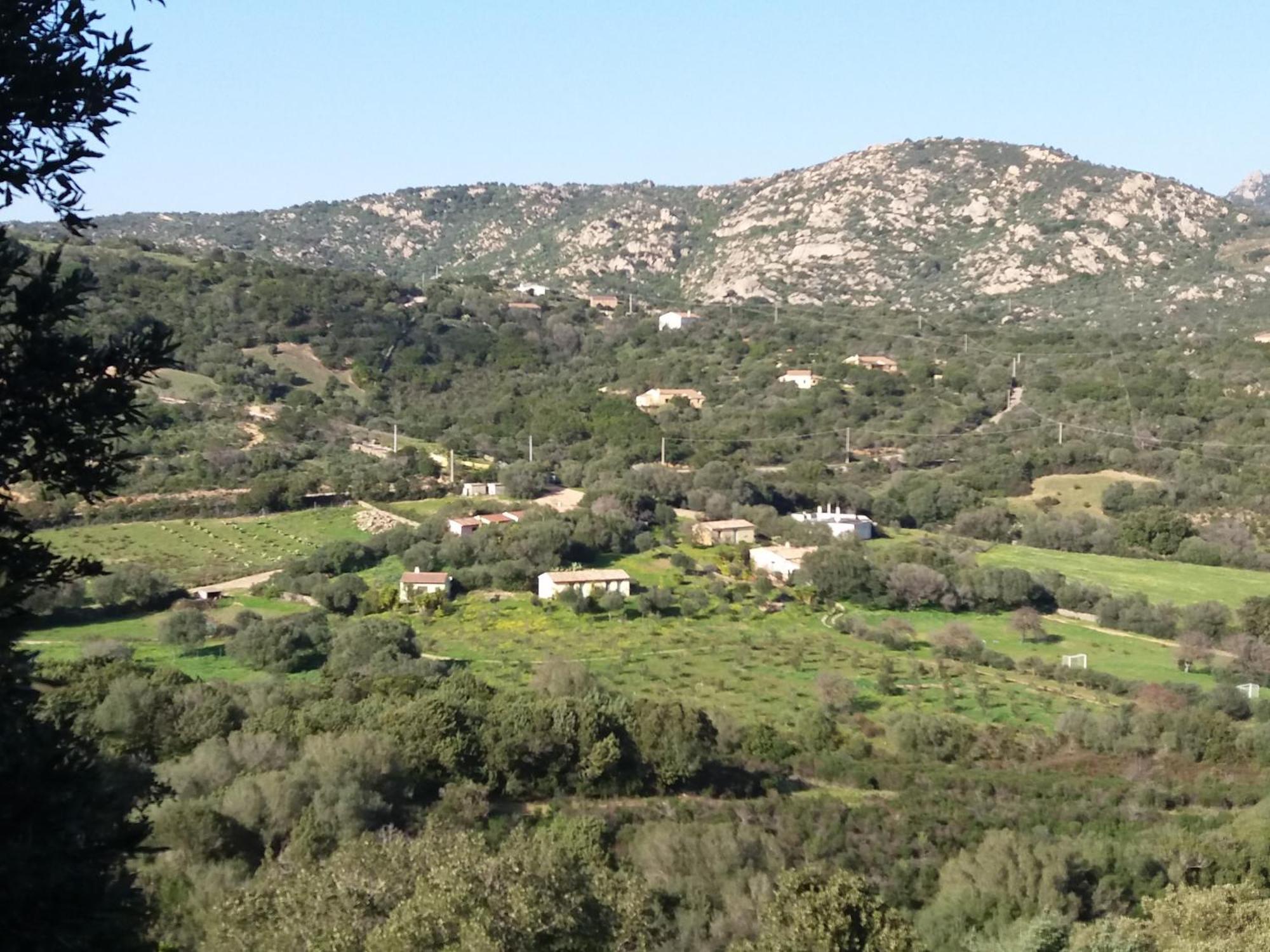Agriturismo Agrisole Olbia Exteriör bild