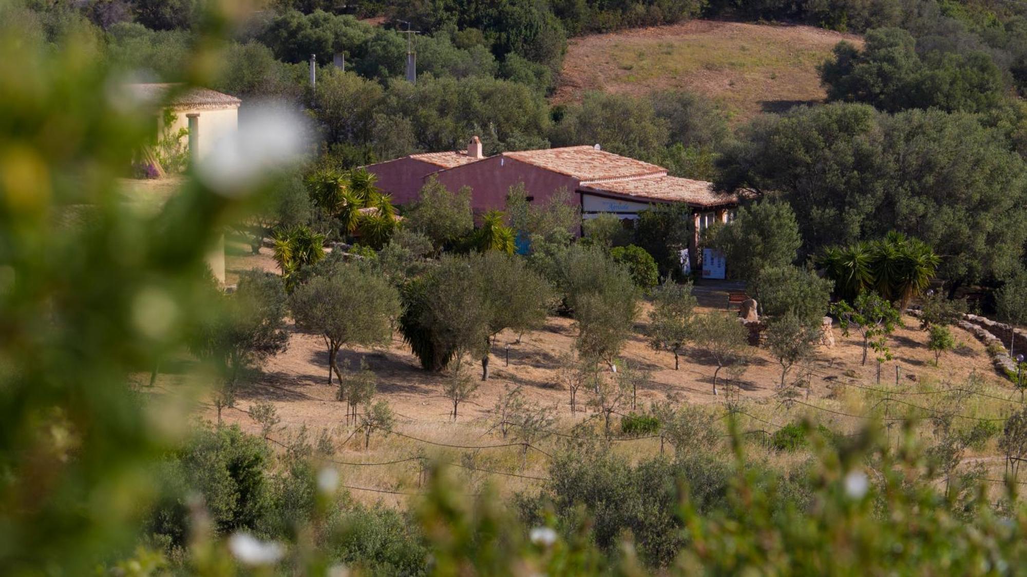 Agriturismo Agrisole Olbia Exteriör bild