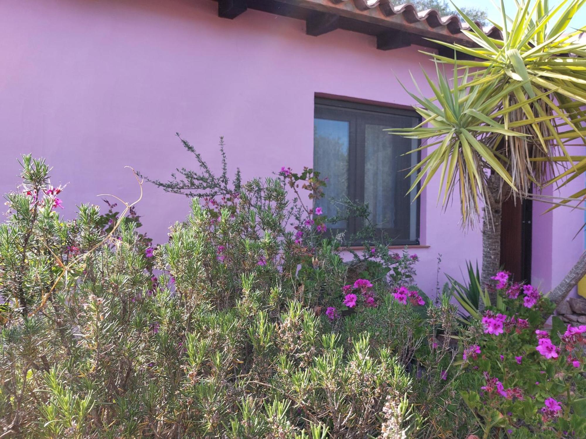 Agriturismo Agrisole Olbia Exteriör bild