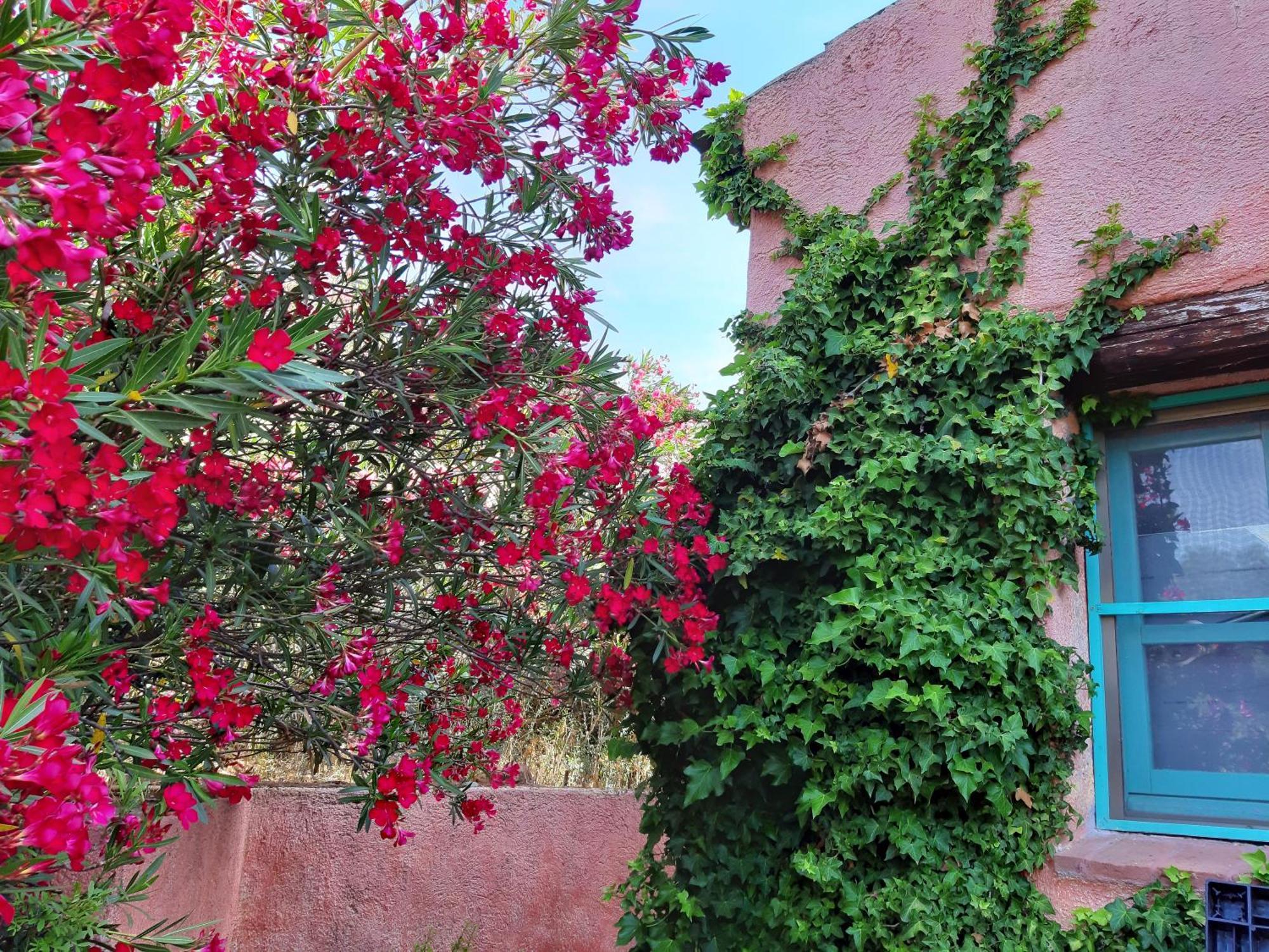Agriturismo Agrisole Olbia Exteriör bild